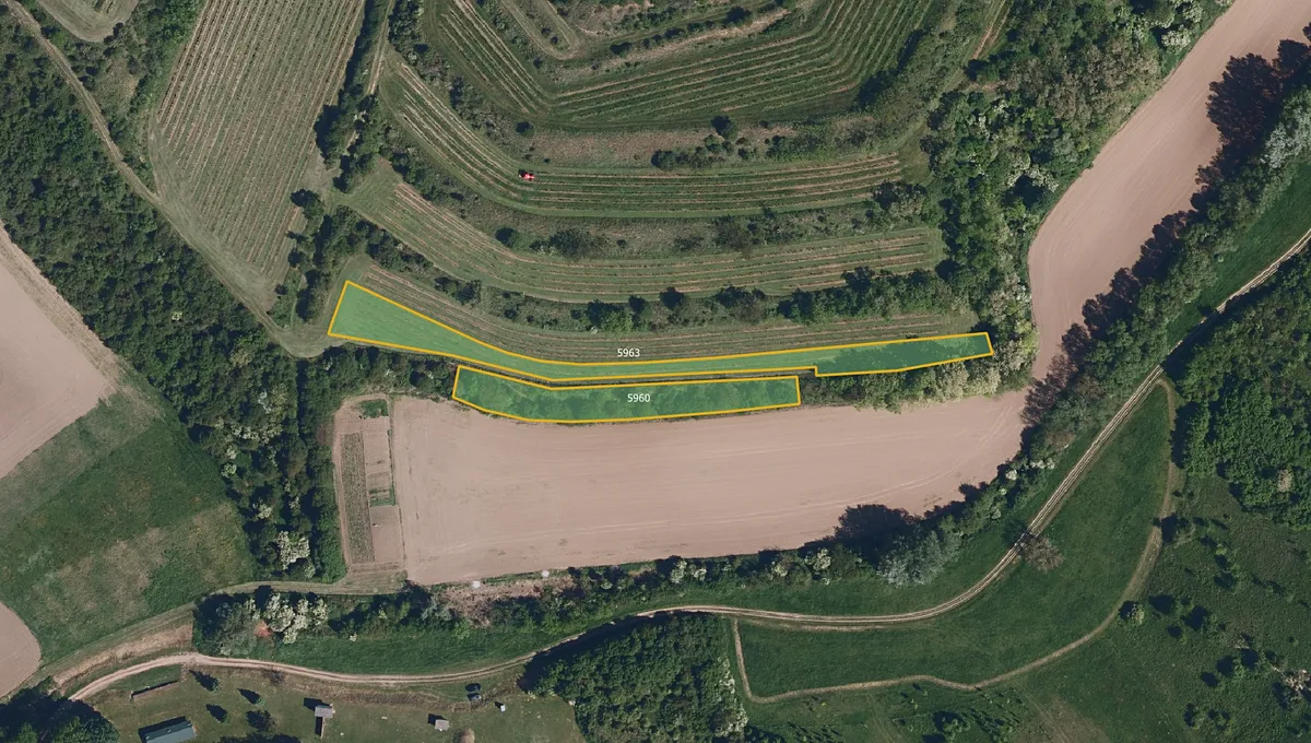 Prodej sadu, vinice 4057 m²
